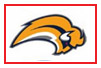 Buffalo Sabres
