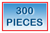 300-499 Piece
