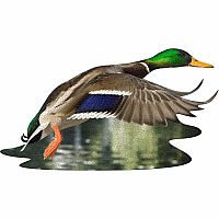 I Am Duck - Madd Capp