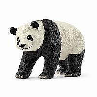 Giant Panda.
