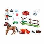 Country: Collectible Connemara Pony