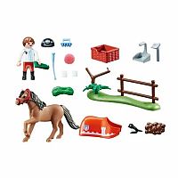 Country: Collectible Connemara Pony