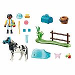 Country: Collectible Lewitzer Pony