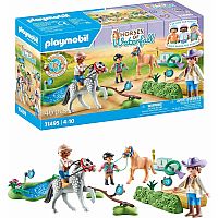 Horses of Waterfall: Pony Tournament