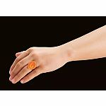 Miraculous: Rena Rouge 