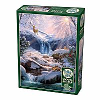 Mystic Falls In WInter - Cobble Hill