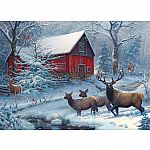 Winter Magic - Cobble Hill