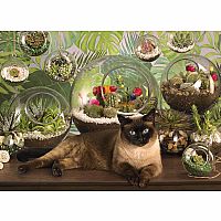 Terrarium Cat - Cobble Hill