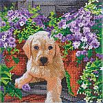 Crystal Art Medium Framed Kit - Floral Pup