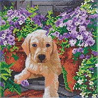 Crystal Art Medium Framed Kit - Floral Pup