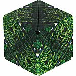 Shashibo Wild Series - Forest