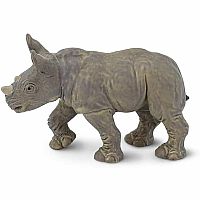 White Rhino Baby 