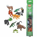 Rainforest Nature Tube