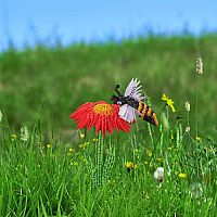 Creagami 3D Bee - Small