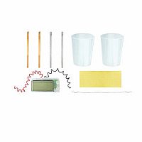 Green Science - Potato Clock.