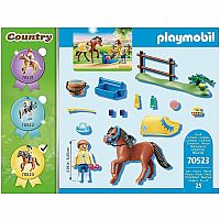 Country: Collectible Welsh Pony