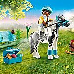 Country: Collectible Lewitzer Pony
