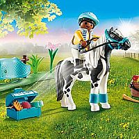 Country: Collectible Lewitzer Pony