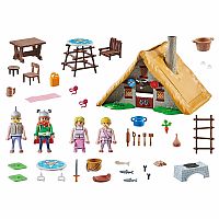 Asterix: Hut Of Vitalstatistix - Retired