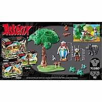 Asterix: Wild Boar Hunting