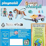 Horses of Waterfall: Pony Carriage