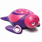 Bath Toy - Sea Lion .