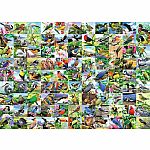 99 Delightful Birds - Ravensburger.