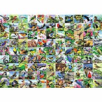99 Delightful Birds - Ravensburger.