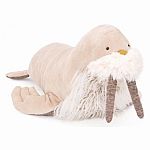 Walrus 