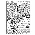 Creative Haven - Wild Animal Designs Coloring Book