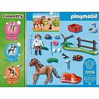 Country: Collectible Connemara Pony