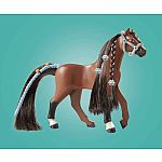 Horses of Waterfall: Jumping Arena