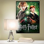 Ron Weasley 500 Piece Poster-Puzzle Retired