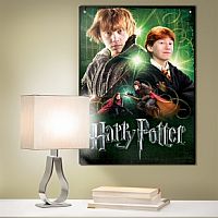 Ron Weasley 500 Piece Poster-Puzzle Retired