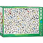 The World of Birds - Eurographics 