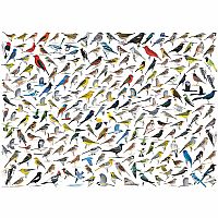 The World of Birds - Eurographics 