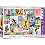 Yoga Cats - Eurographics 