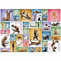 Yoga Cats - Eurographics 