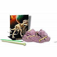 Dig a Dinosaur Skeleton - T-Rex .
