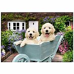 Golden Retriever - Ravensburger