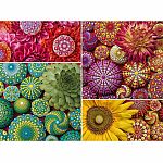 Mandala Blooms - Ravensburger