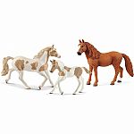 Schleich Horse Club Bundle 
