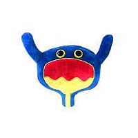 Giant Microbes - Bladder  