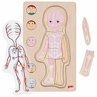 Human Body Puzzle - Boy 