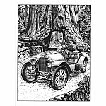 Creative Haven - Cars Colouring Book 