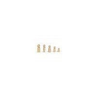 Craft Wood People - 10 Assorted 