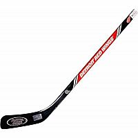 Detroit Red Wings Left Handed Mini Stick 