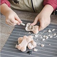 Dig It Up! Discoveries: Puppies. 