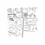 Learn To Draw Animals.