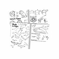 Learn To Draw Animals.